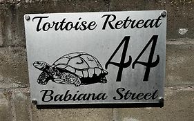 Tortoise Retreat